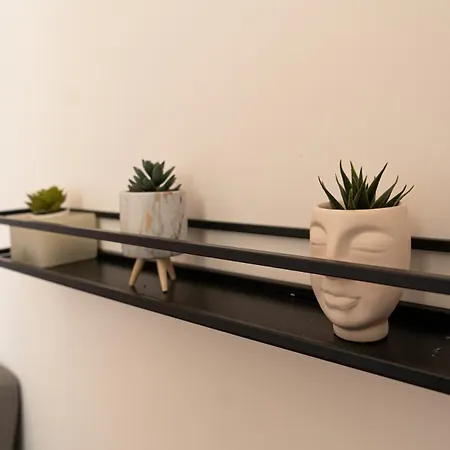 Apartament Domus Merulana 209 Colosseum *