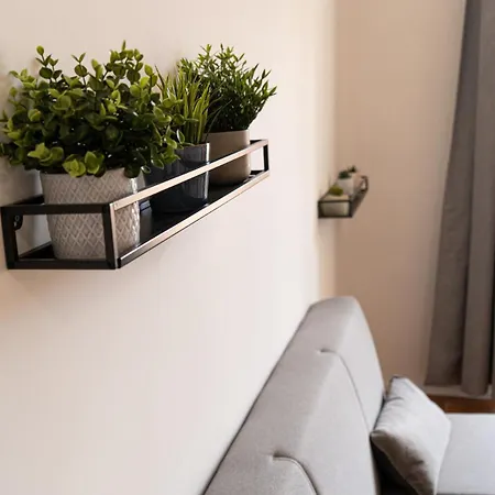 Apartament Domus Merulana 209 Colosseum Rzym