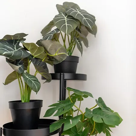 Domus Merulana 209 Colosseum * Rzym